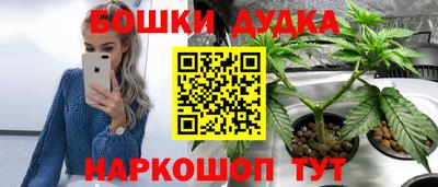 хмурый Бердск