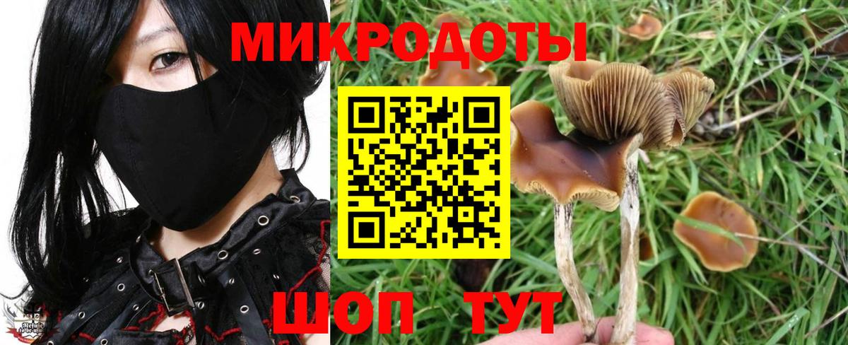 Псилоцибиновые грибы Magic Shrooms  Псилоцибиновые грибы мухоморы  Октябрьский  Вход с VPN 